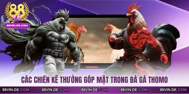 Các chiến kê thường góp mặt trong đá gà Thomo
