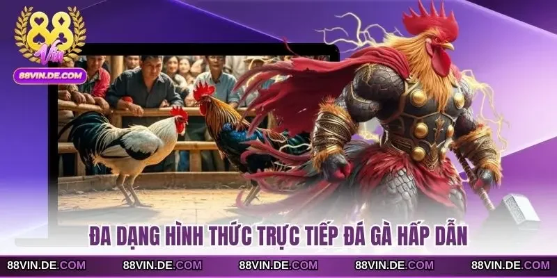 Đa dạng hình thức trực tiếp đá gà hấp dẫn