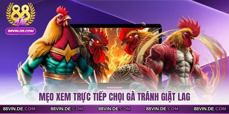 Mẹo xem trực tiếp chọi gà tránh giật lag