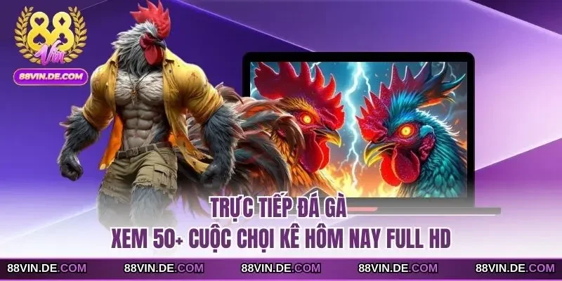 Trực tiếp đá gà